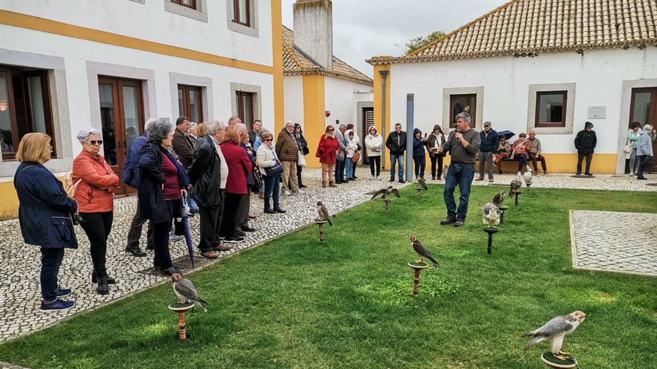 Passeio da População Sénior a Salvaterra de Magos