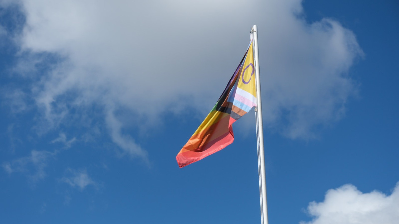 Dia Internacional contra a Homofobia, Transfobia e Bifobia