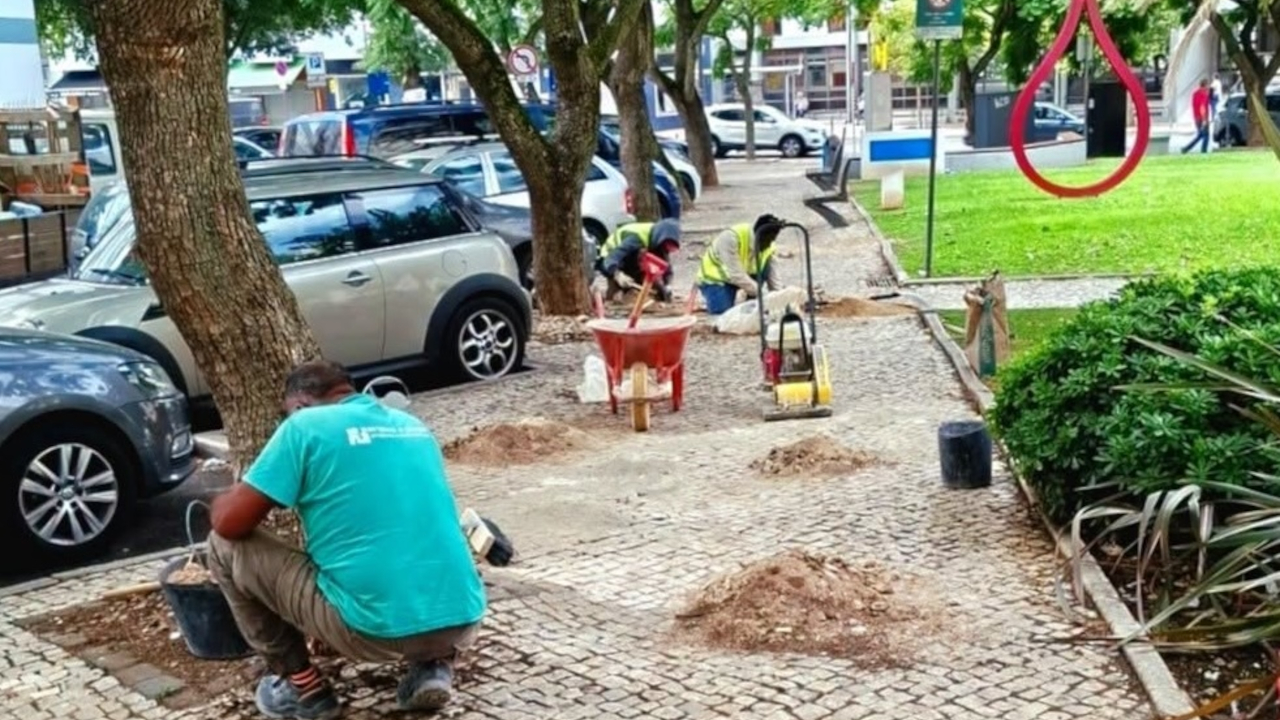 Manutenção da Calçada no Jardim Cesário Verde