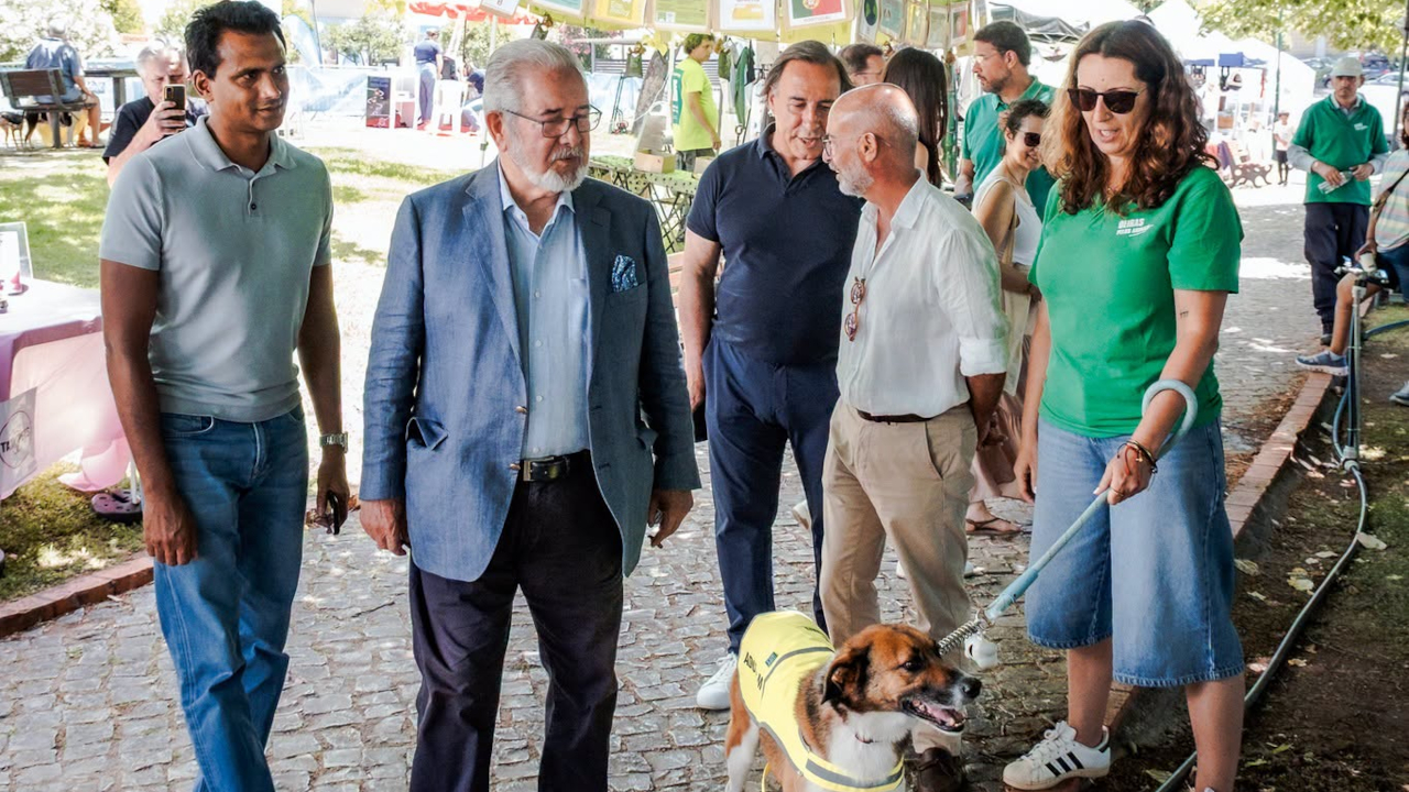 Festa Animal 2026