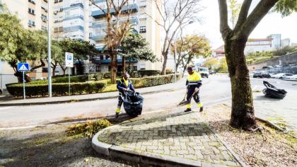 Trabalhos no terreno face às condições climatéricas