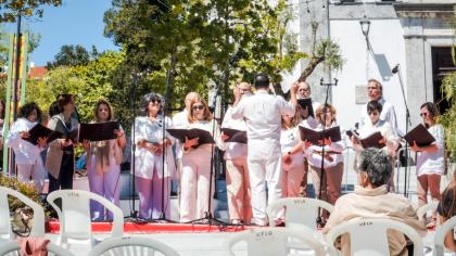 Atuações da tarde nas Festas da Rocha 2026